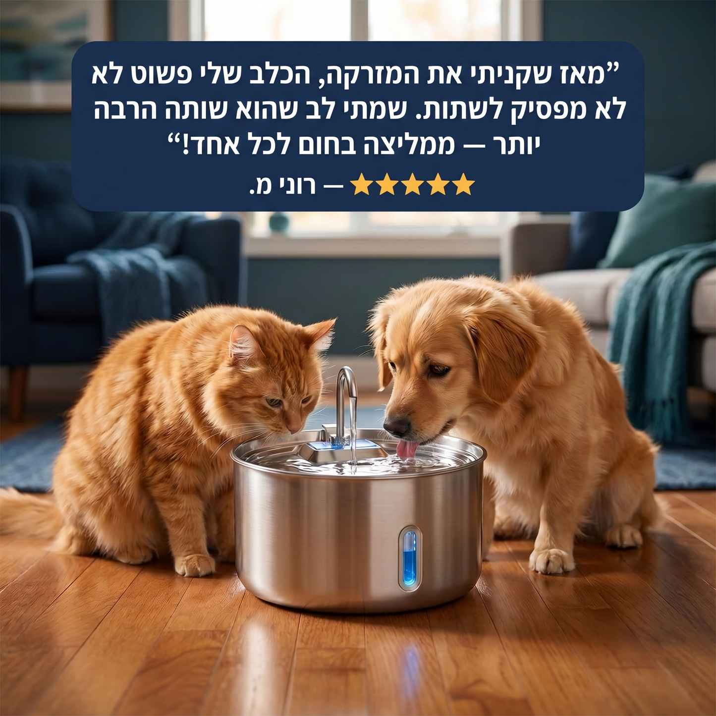 Alvoro - מים נקיים לחיית המחמד שלך
